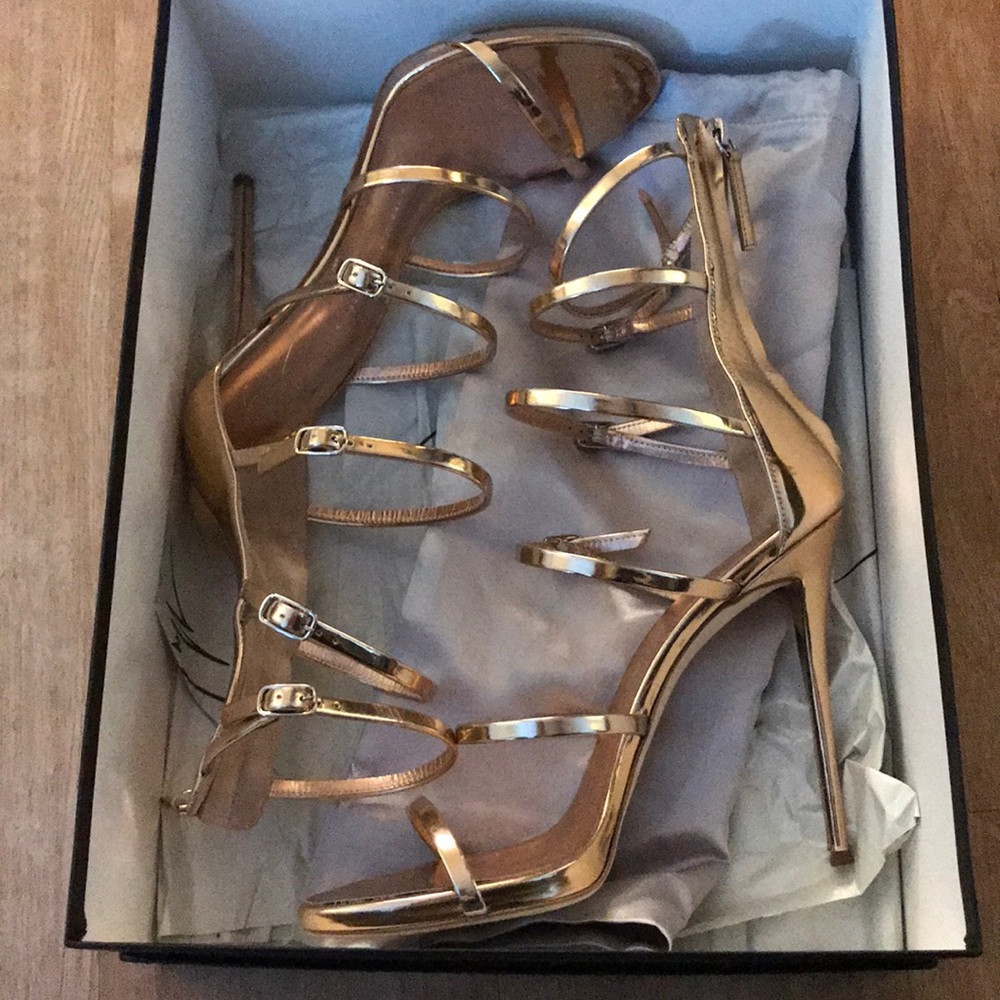 Giuseppe Zanotti